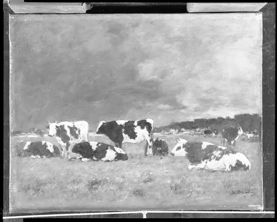 Cows in a Pasture, Deauville