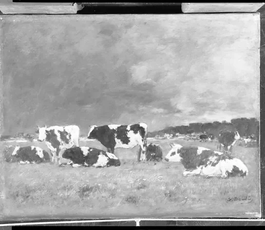 Cows in a Pasture, Deauville