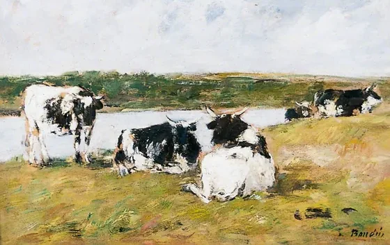 Cows on a Riverbank