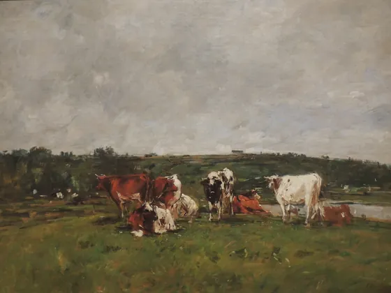 Vaches au pâturage