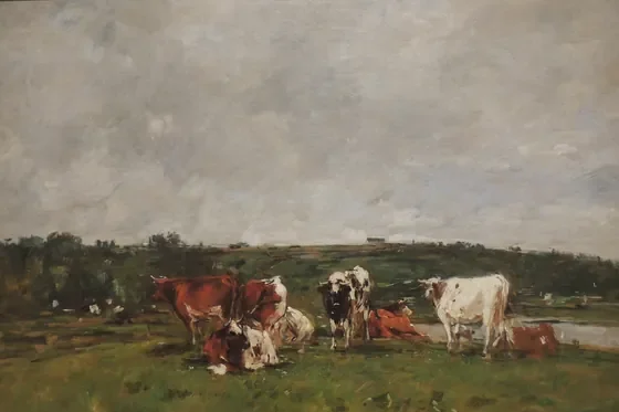 Vaches au pâturage