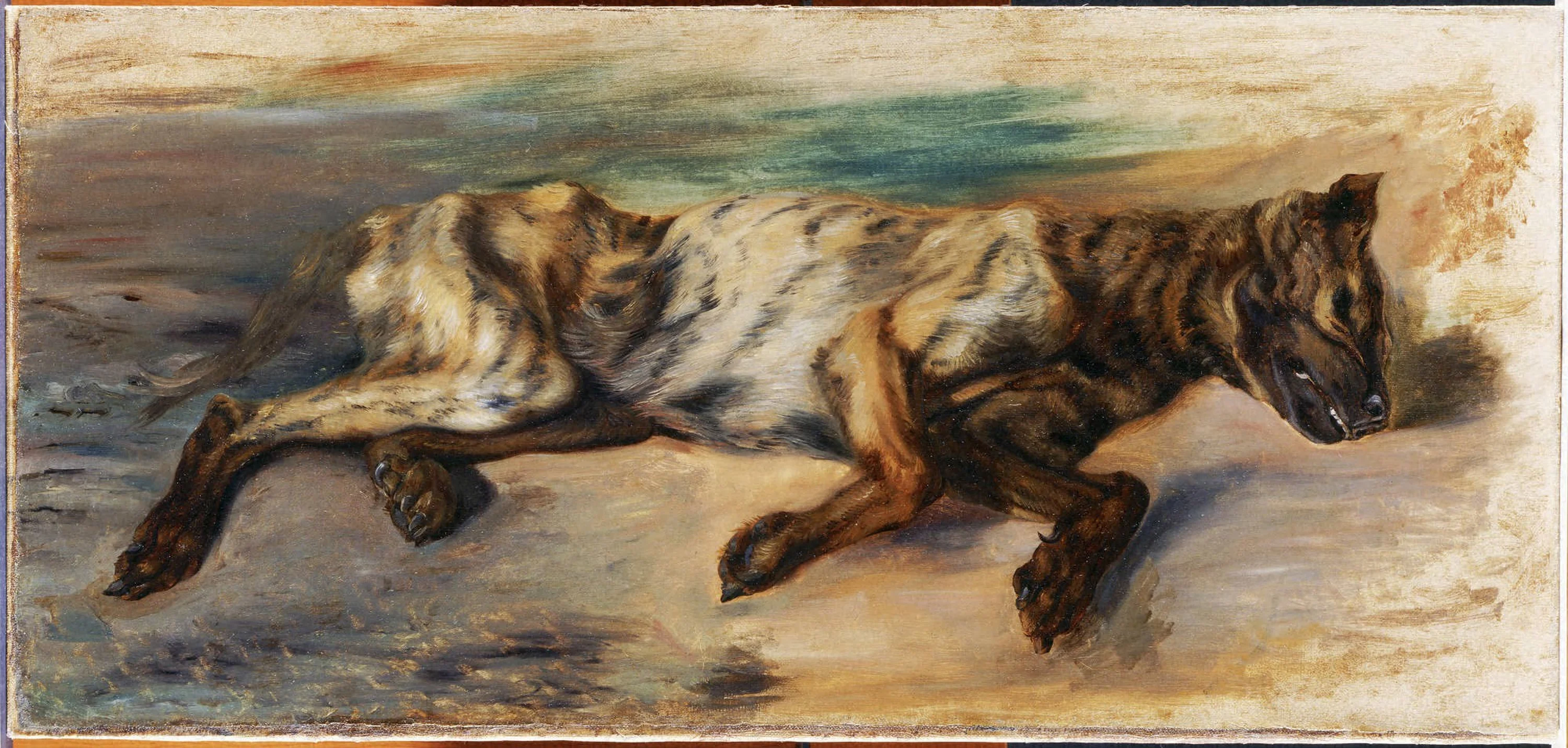 Dead Dog, Eugène Delacroix