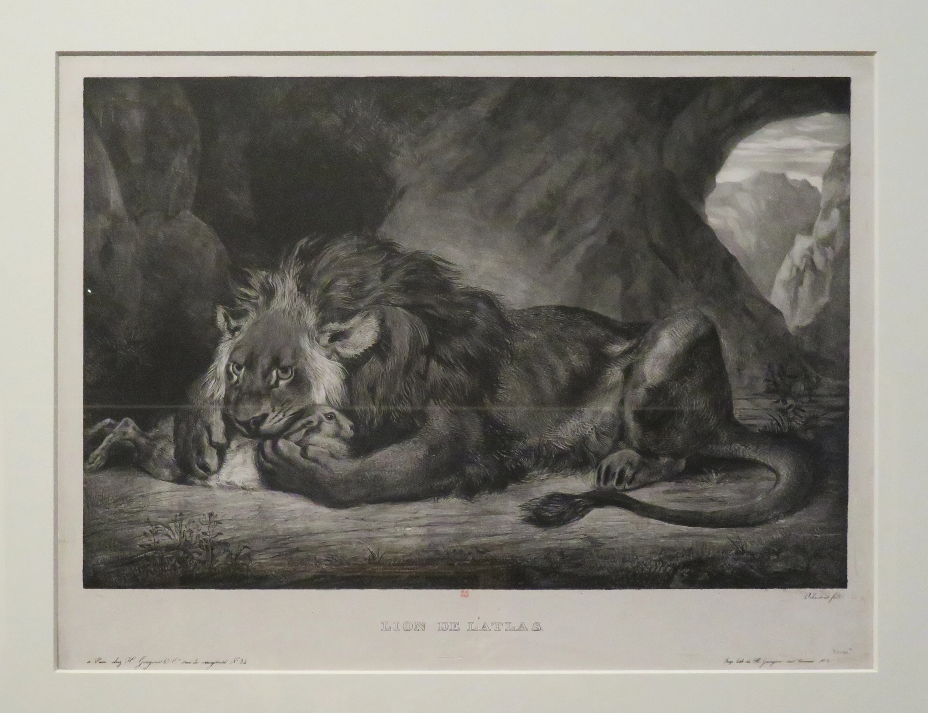 Lion de l’Atlas, Eugène Delacroix