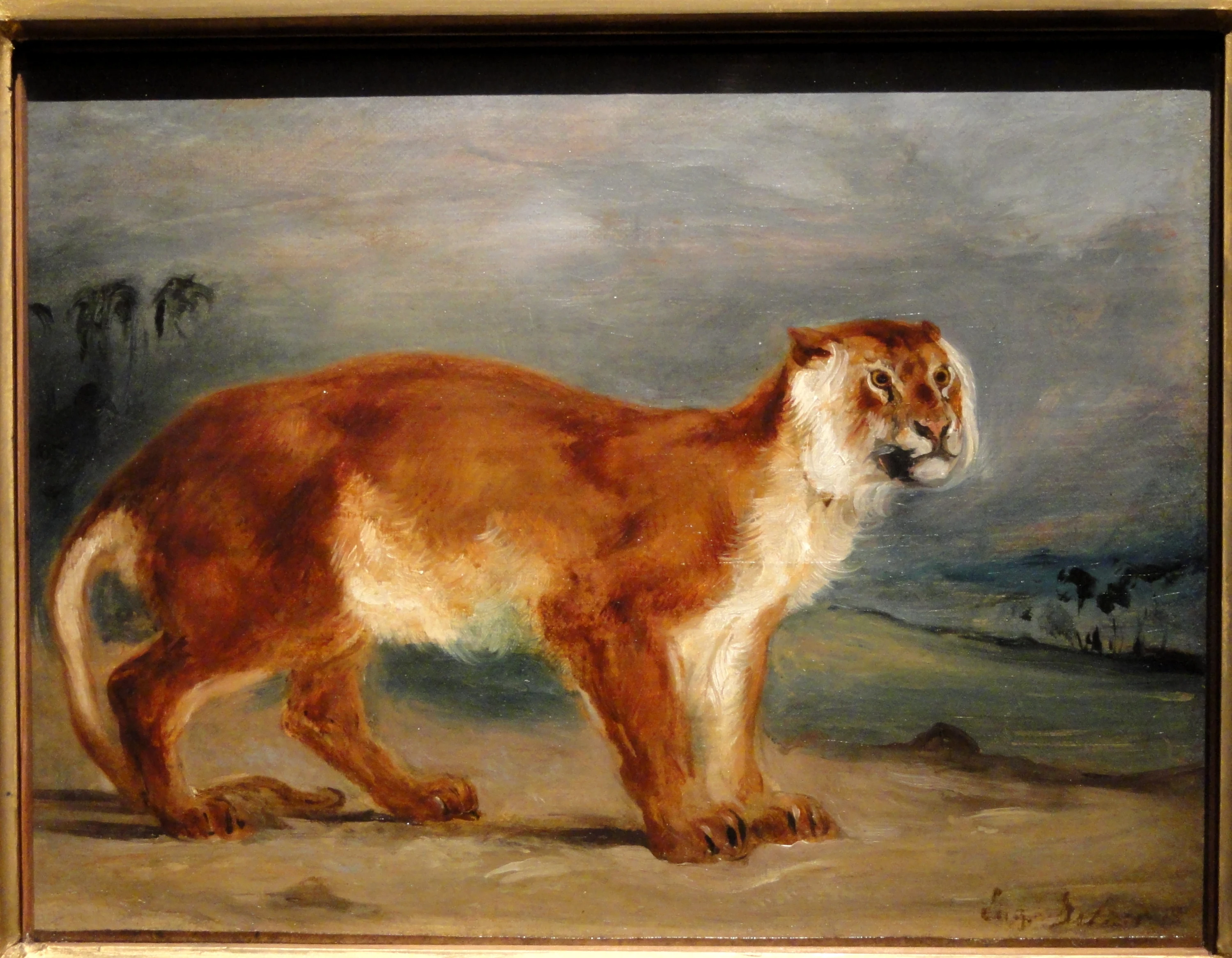Lioness, Eugène Delacroix