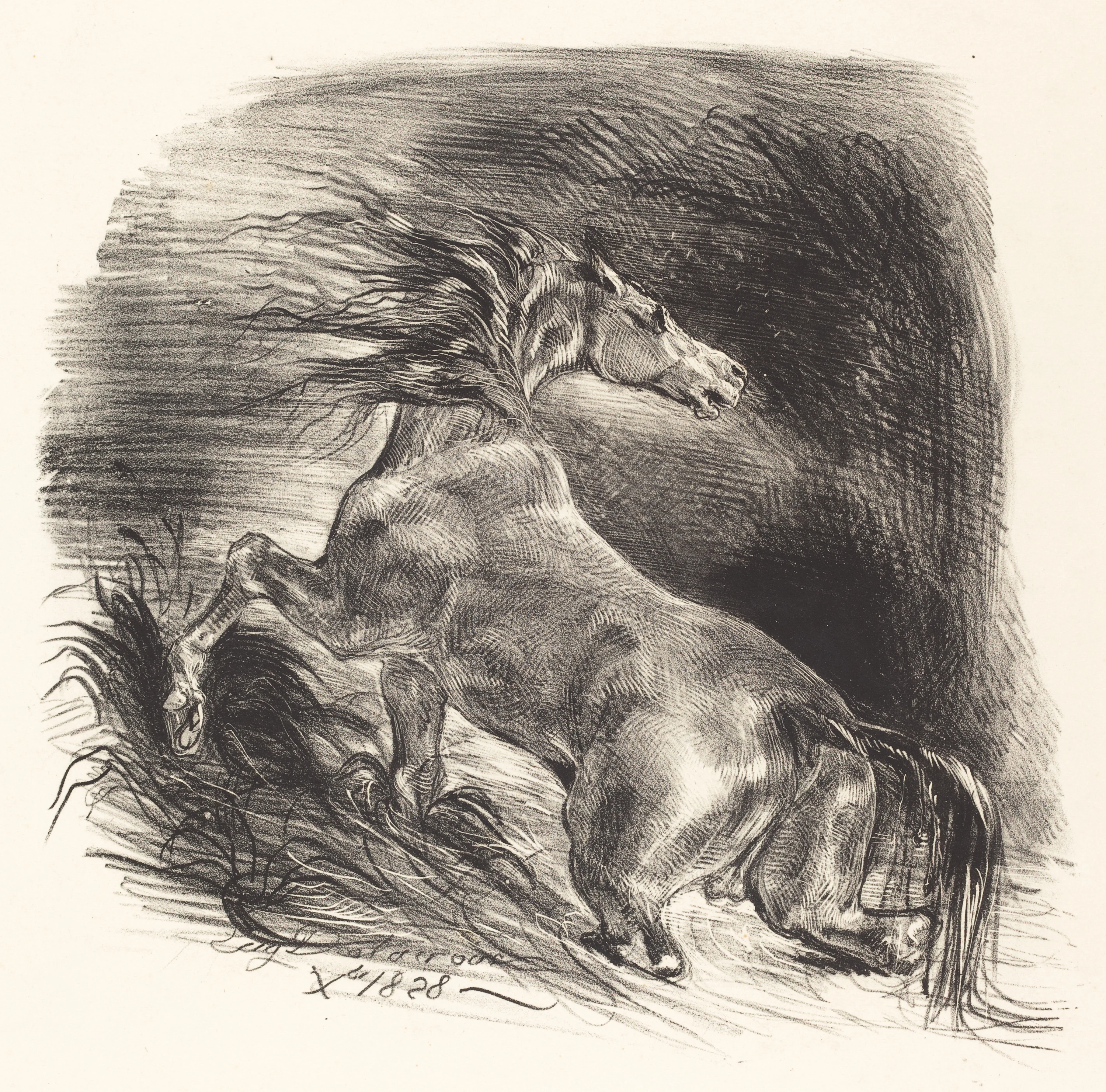 Wild Horse Coming out of the Water (Cheval sauvage), Eugène Delacroix