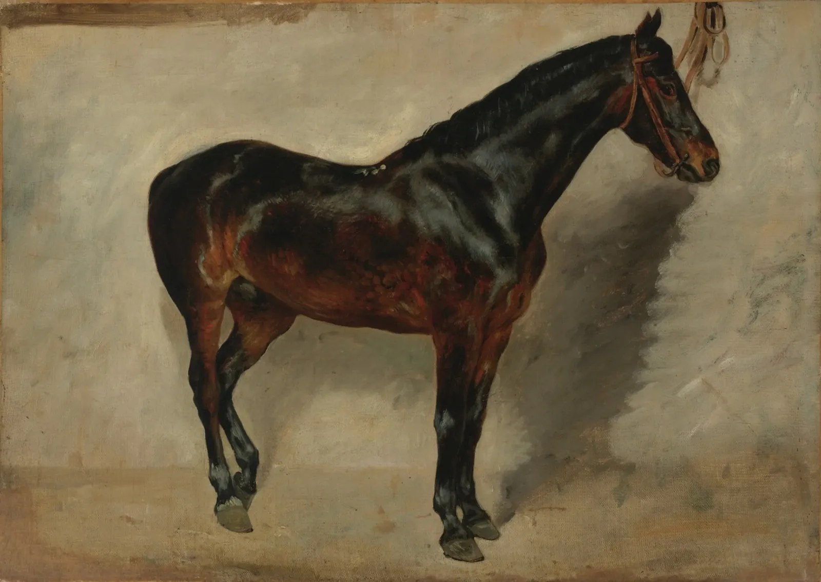 Cheval bai-brun à l'attache, Eugène Delacroix