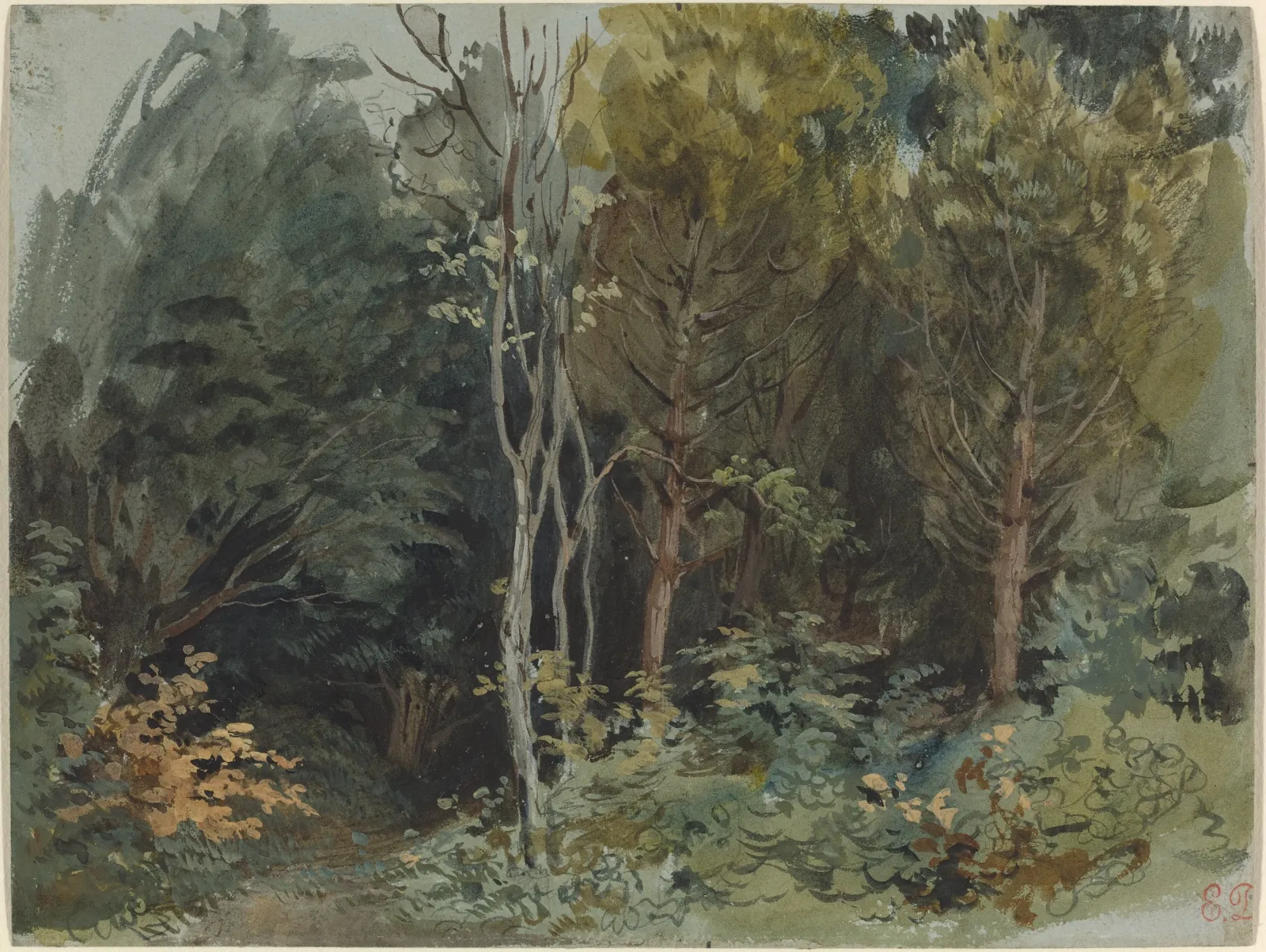 The Edge of a Wood at Nohant, Eugène Delacroix