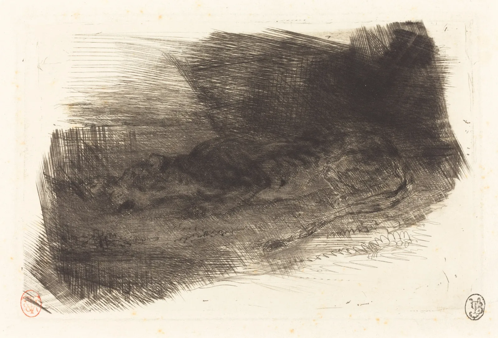 Tiger Sleeping at the Entrance to its Lair (Tigre couché à l'entrée de son antre), Eugène Delacroix
