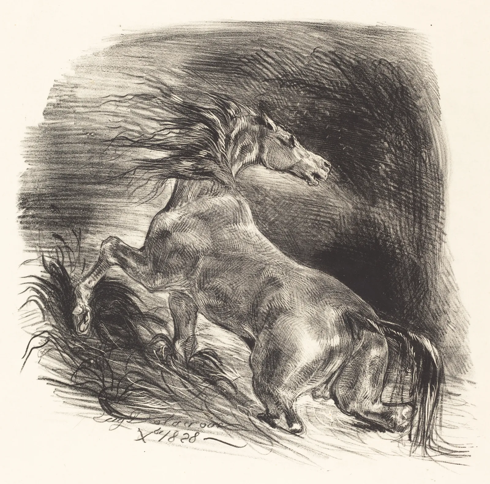 Wild Horse Coming out of the Water (Cheval sauvage), Eugène Delacroix