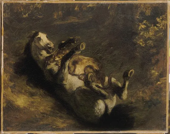 Cheval attaqué par une lionne