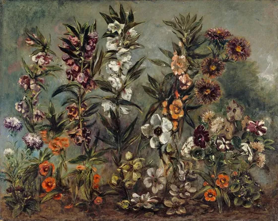 Étude d'asters et balsamine