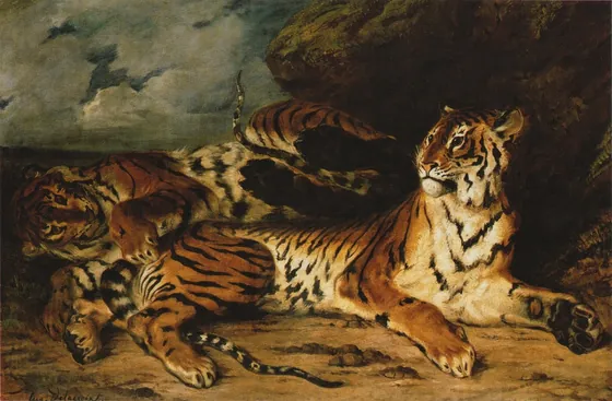 Jeune Tigre jouant avec sa mère