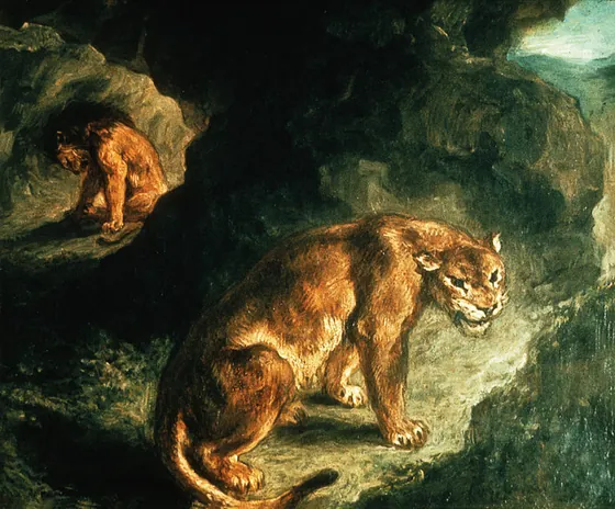 Lionne et lion dans leur antre