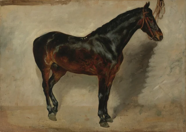 Caballo castaño oscuro atado