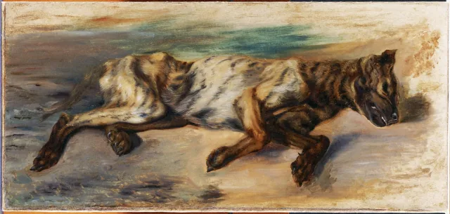 死んだ犬