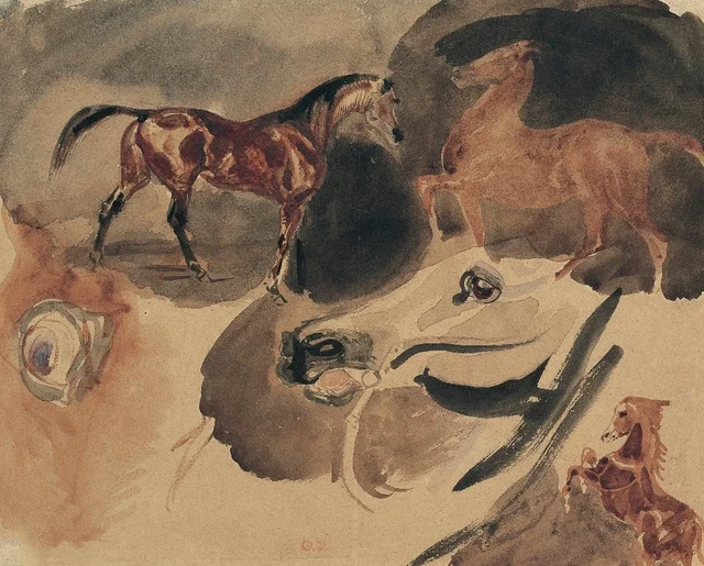 Estudio de caballos