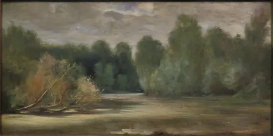 L'étang, près du Louroux