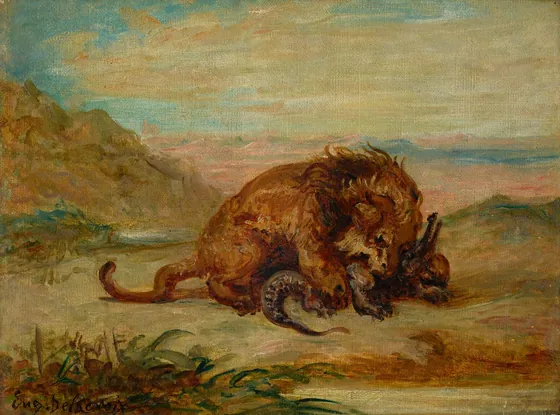 Lion et Crocodile