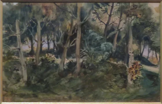 Sous-bois