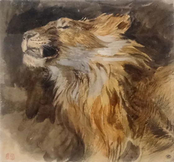 Tête de lion rugissant
