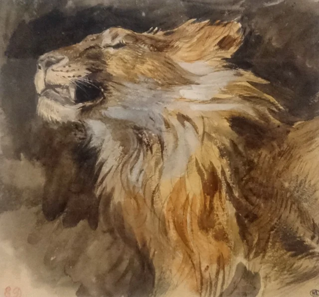 Cabeza de león rugiendo