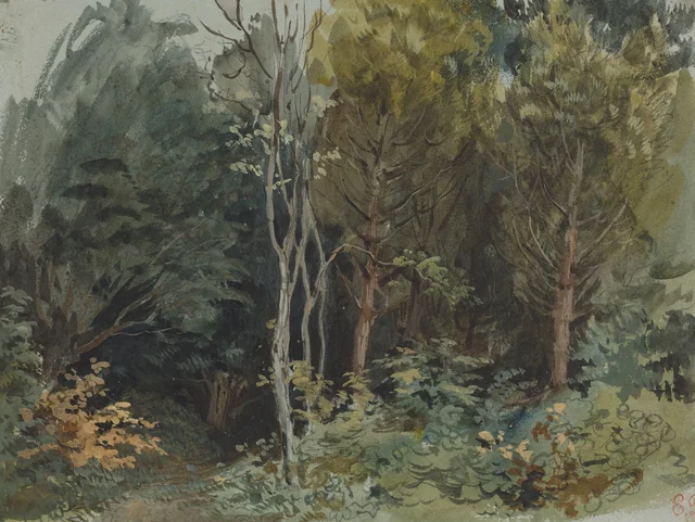El linde de un bosque en Nohant