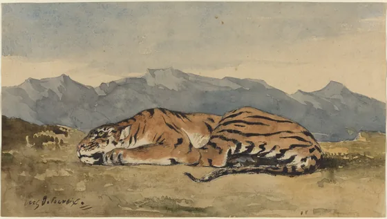 Tiger