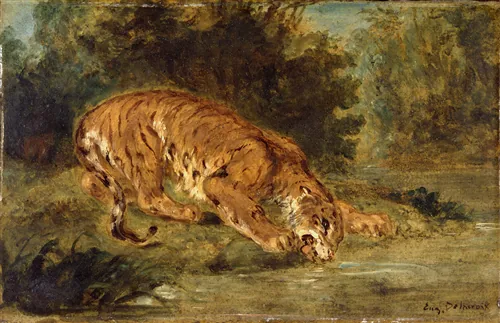 Tigre buvant