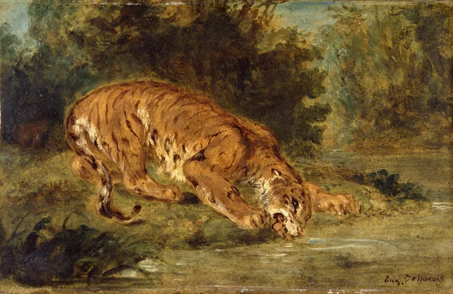 Tigre buvant, Eugène Delacroix