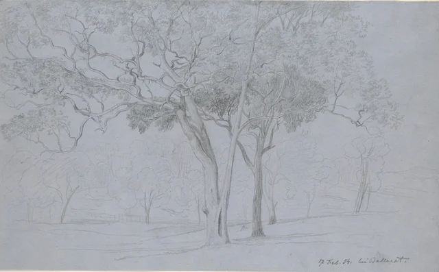 17 February 1854, near Ballarat