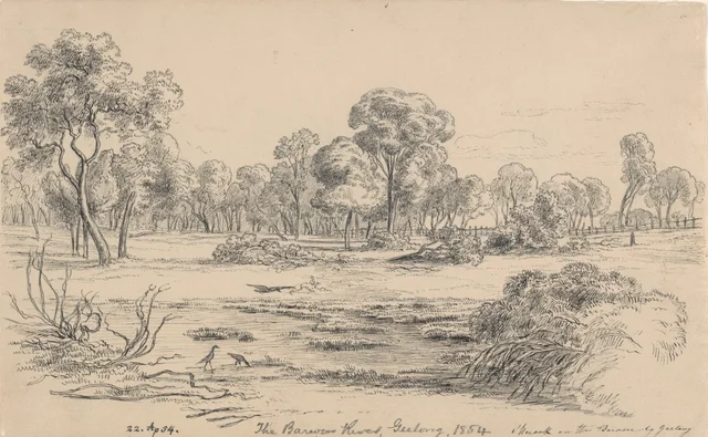 Sheoak on the Barwon near Geelong, 22 April 1854