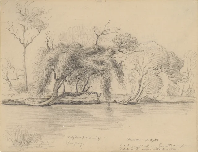 The Barwon, 22 April 1854