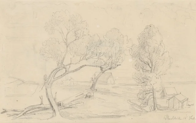 Black Hill, 15 February