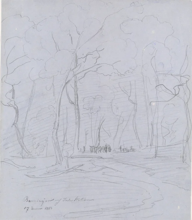 Jules Station, Buninyong, 17 January 1853