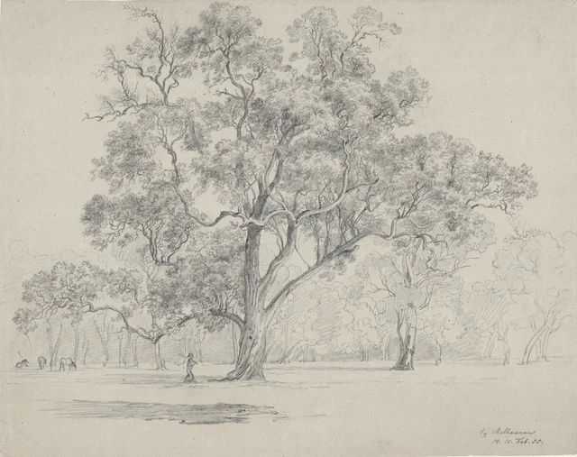 Near Melbourne, 14-15 February 1855