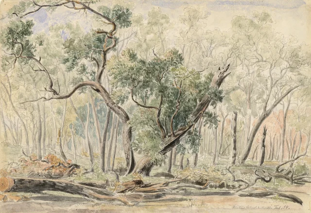 Behind Black Hill, February 1854