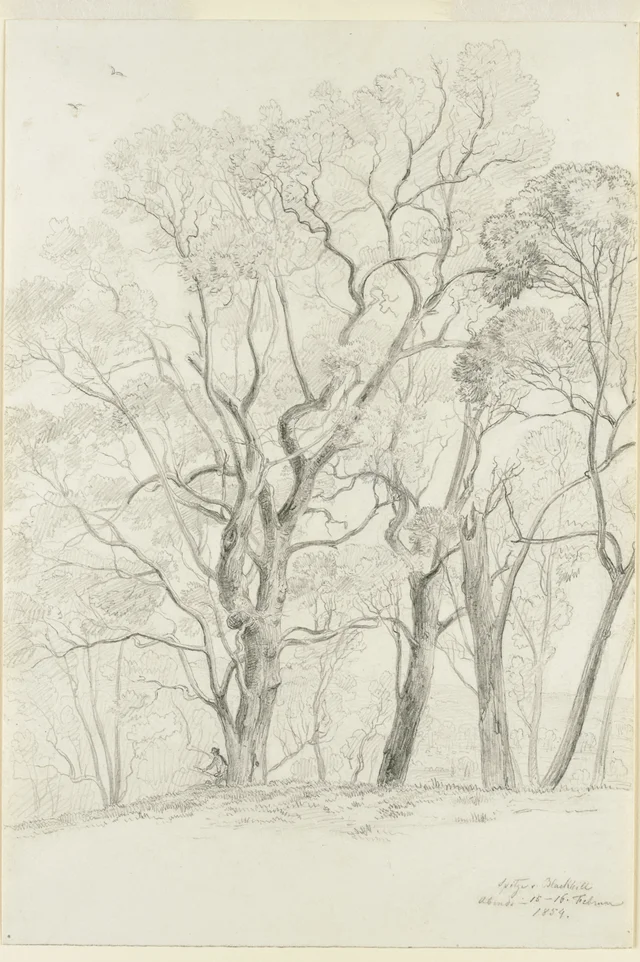 Top of Black Hill in the Evening, 15-16 February 1854