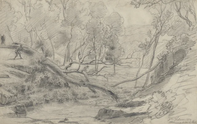 Warrenheip Hills, near Ballarat, 5 February 1854