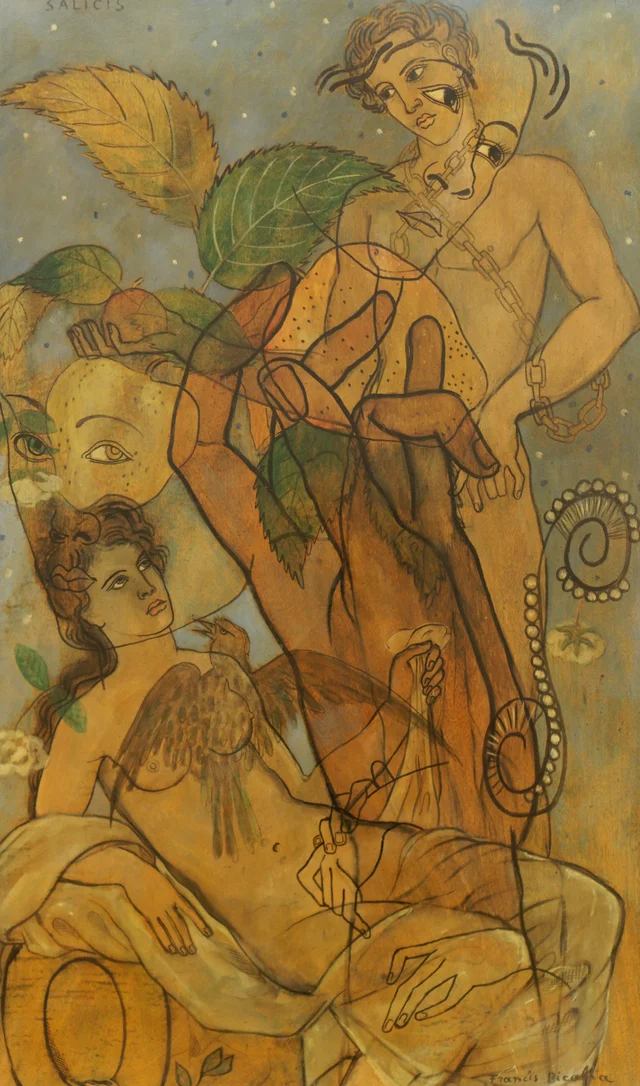 Salicis, Francis Picabia