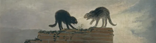 猫の喧嘩