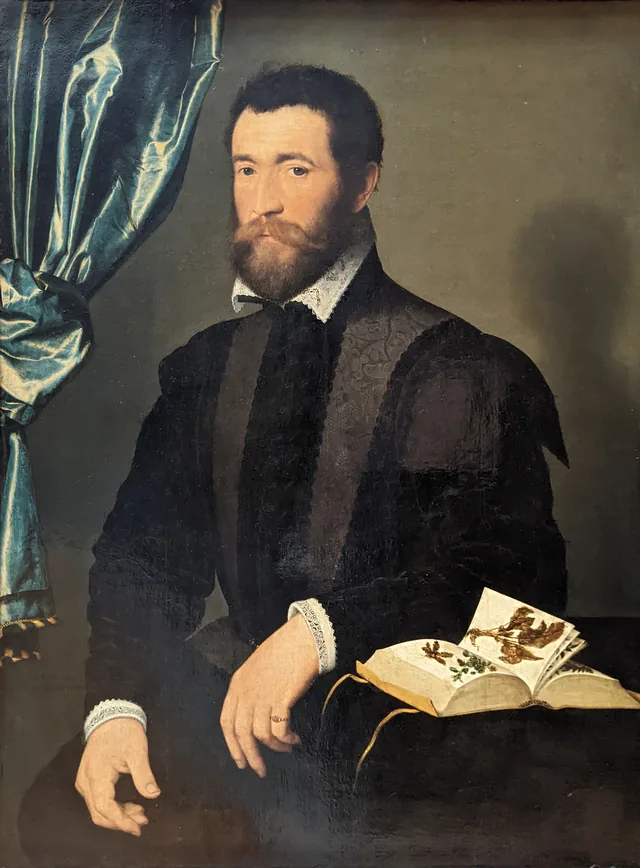 Pierre Quthe, apothicaire, François Clouet