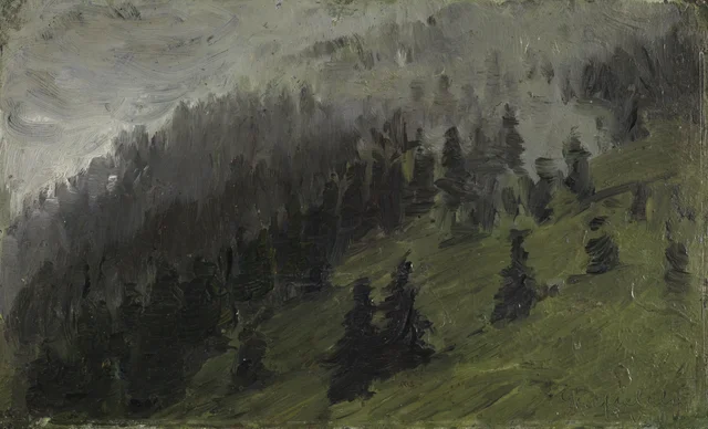 Niebla entre abetos
