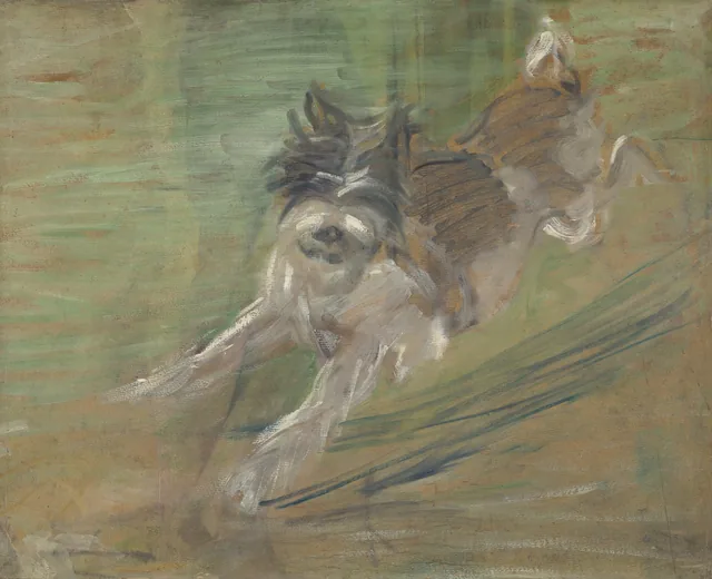 Cão saltitante «Schlick»