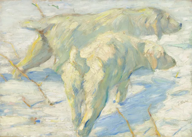 Cães siberianos na neve