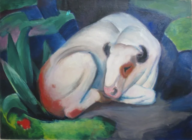 Toro blanco