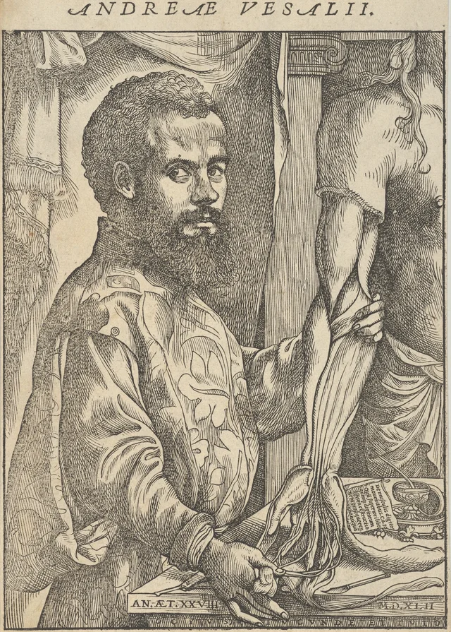 Portrait of Andreas Vesalius, half-length in profile standing in front of a table dissecting the arm of a body; frontispiece to Andreas Vesalius 'De humani corporis fabrica libri septem', attribué à Jan van Calcar