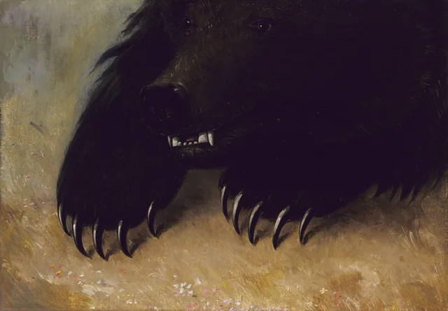 Weapons and Physiognomy of the Grizzly Bear