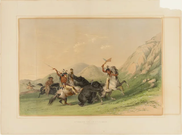 Attacking the Grizzly Bear--no. 19
