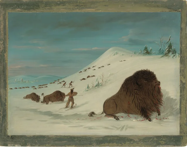 Buffalo Lancing in the Snow Drifts - Sioux