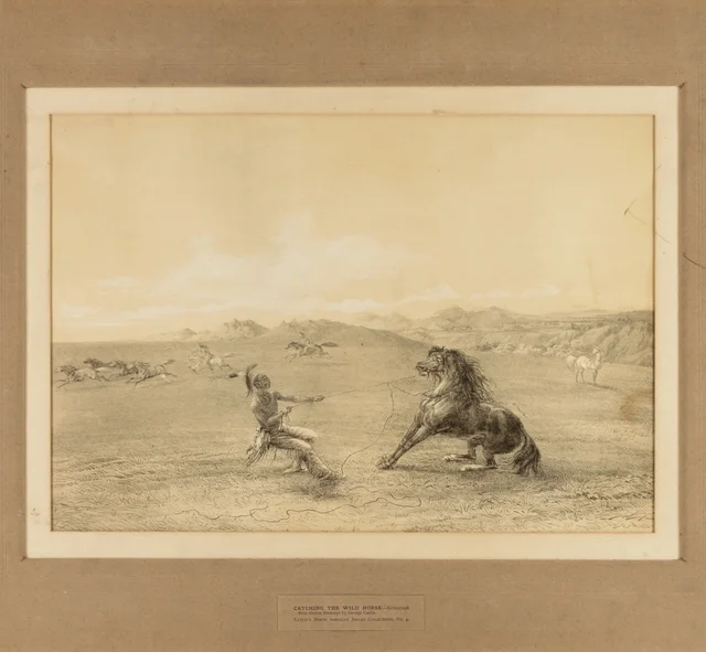 Catching the Wild Horse--no. 4